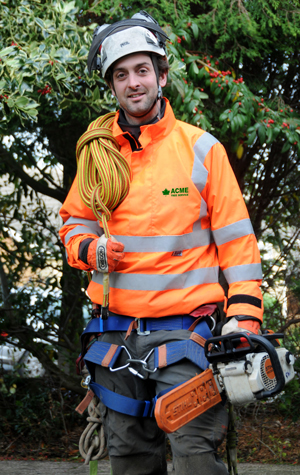 Becoming a Tree Surgeon