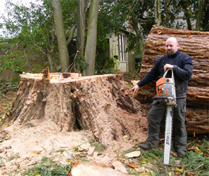 Becoming a Tree Surgeon