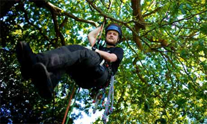 Tree Surgeon and Tree Felling