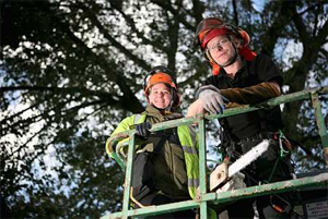 Tree Surgeon and Tree Preservation Orders
