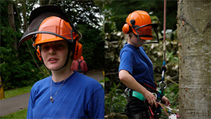 Tree Surgeon Apprenticeships