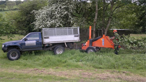Tree Surgeon Cornwall