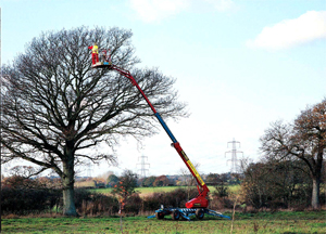 Tree Surgeon Courses