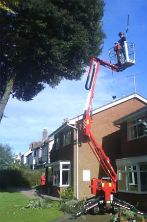 Tree Surgeon Legal Requirements