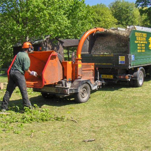 Tree Surgeon Sussex