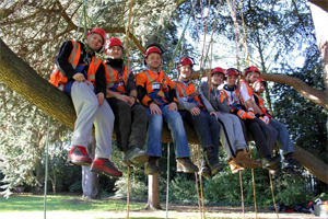 Tree Surgeons London